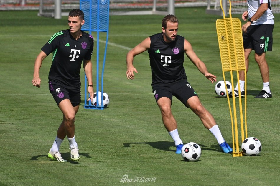 稳定表现 稳定表现